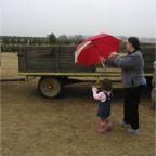 061210-ElginChristmasTreeFarm3-RCM-WhoGetsTheUmbrella