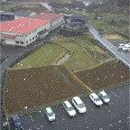 050305_SouthernRiceFieldSnow