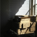 061119-BambooFloor1